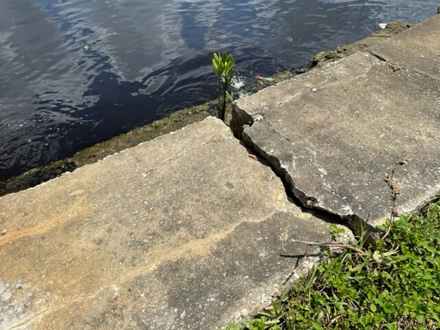 Seawall-slider-img-5